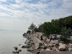 -深圳湾公园(南山区)