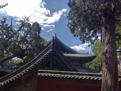 -晋祠公园