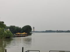 -溱湖国家湿地公园