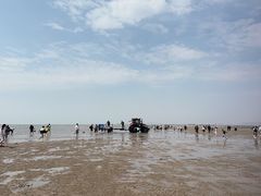 -刘家湾赶海园