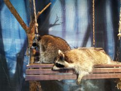 -酷嗒动物文化乐园(cutezoo西溪乐天城店)