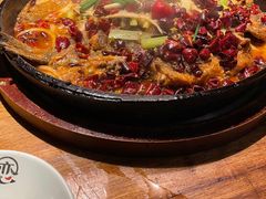 -老板恋上鱼(高新万达店)