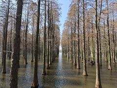 -渌洋湖湿地公园
