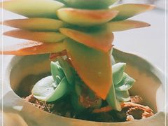 -沪上阿姨·精选茶饮(燕郊富地广场店)