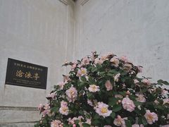 -沧浪亭