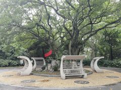 -菊花台公园
