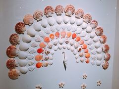 -青岛贝壳博物馆