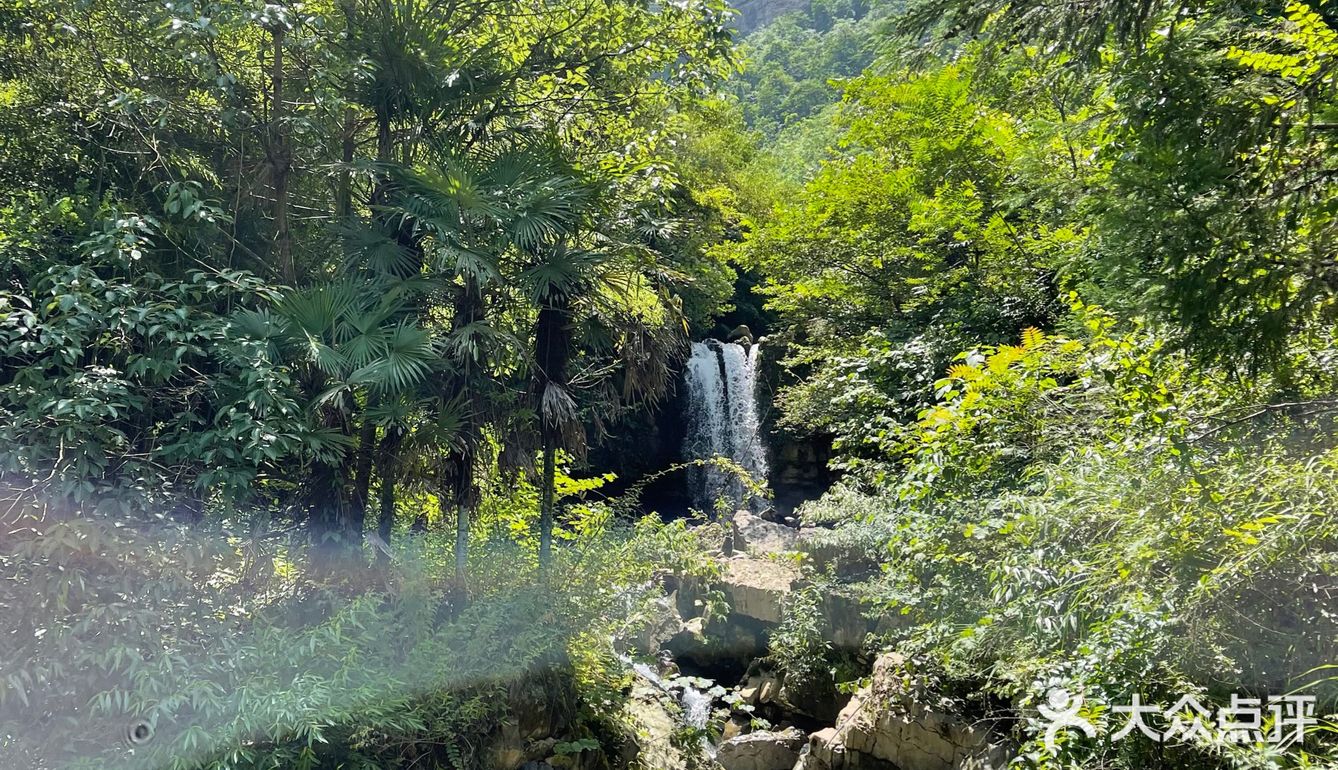 小众避暑旅游景点｜鹿院坪