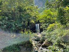 -鹿院坪生态旅游景区