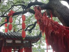 -仓山金山寺