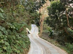 -深圳湾公园(南山区)
