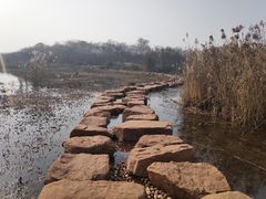 -盘龙城国家考古遗址公园