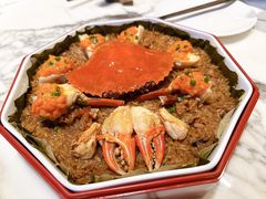 -遇外滩(BFC外滩金融中心店)