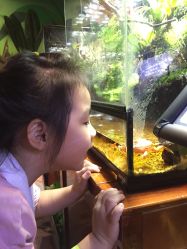 -酷嗒动物文化乐园(cutezoo西溪乐天城店)