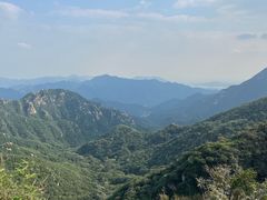 -大岭沟猕猴桃谷风景区
