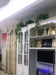 -香薇妮丝女子减肥院
