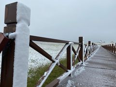 -郭莽湿地