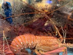 -阿伟海鲜楼·福建菜(延寿店)
