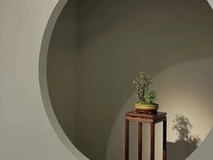 -南京书画院金陵美术馆
