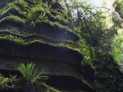 -梭布垭石林景区