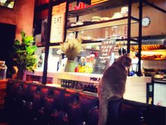 -MIKAKU(万达广场上海宝山店)