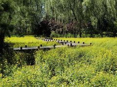 -北坞公园
