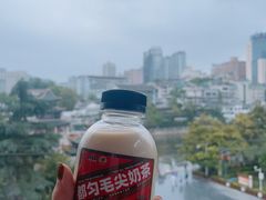 都匀毛尖奶茶-包整·丝娃娃(一览甲秀楼风景店)
