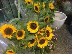 -花草间花行(法华镇路店)