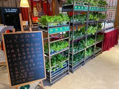 -玉玲珑(平湖龙湫湾店)