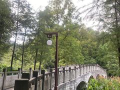 -重庆彩云湖湿地公园