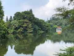 -深圳市中科院仙湖植物园