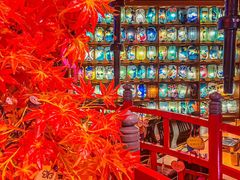 -皇室假期美食水疗会(春风路店)