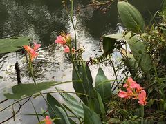 -昆山城市生态森林公园