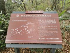 -九曜山