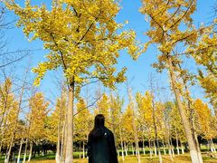 -汉长安城未央宫国家考古遗址公园