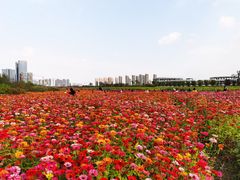 -映月湖中央公园