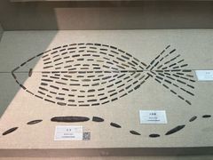 -巴音郭楞蒙古自治州博物馆