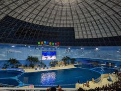 -泉城欧乐堡海洋极地世界