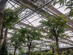 -南宫五洲植物乐园