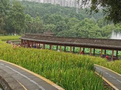 -龙头寺公园