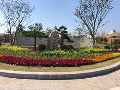 -九龙湖公园