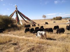 -青海湖国家重点风景名胜区