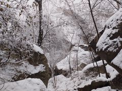 -秦岭终南山世界地质公园翠华山景区