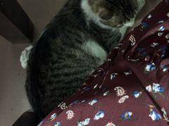 -朱儿面庄(洋河三路店)