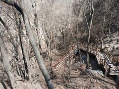 -大岭沟猕猴桃谷风景区