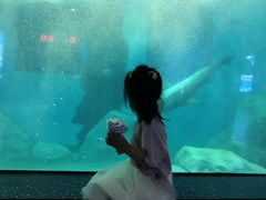 -福州罗源湾海洋世界旅游区