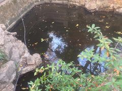 -龙井壹号·茶缘山景宴(龙井村店)