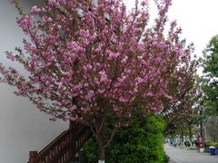 -仙海旅游度假区