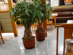 -真利味·脊骨火锅·正宗韩国料理(韩乐坊店)