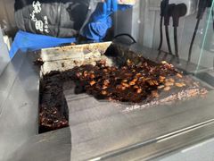 -紫光园清真北京小吃(正阳大街店)